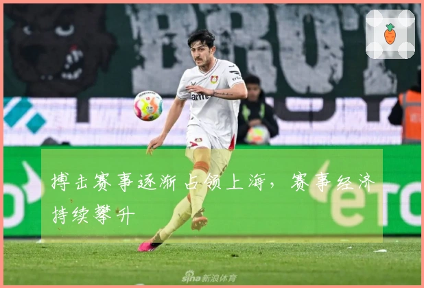 搏击赛事逐渐占领上海，赛事经济持续攀升