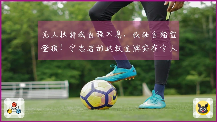 无人扶持我自强不息，我独自踏雪登顶！宁忠岩的这枚金牌实在令人惊艳！