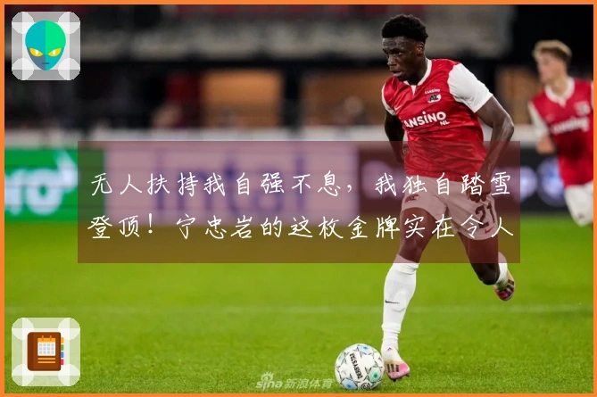 无人扶持我自强不息，我独自踏雪登顶！宁忠岩的这枚金牌实在令人惊艳！