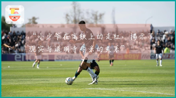 “小少爷在高铁上的走红，揭示了现实与道明寺母亲的关系”