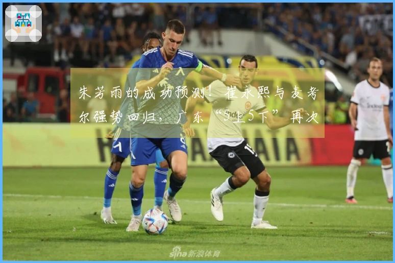朱芳雨的成功预测！崔永熙与麦考尔强势回归，广东“5上5下”再次登场